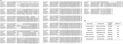 The first report of prion protein gene sequences in Dybowski’s frog and the American bullfrog: high amyloid propensity of the frog prion protein